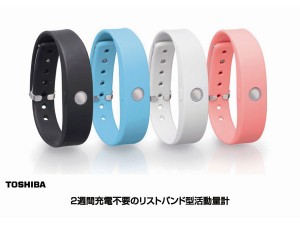 (値下げ)東芝リストバンド型活動量計 WERAM110BL 値下げ)東芝リストバンド型活動量計 WERAM110BL Amazon | 東芝(TOSHIBA