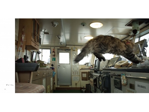 かわいすぎて悶絶 船乗り猫 カンパチ船長 初の写真集 Straight Press ストレートプレス