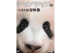 悶絶のかわいさ！パンダのシャンシャンお宝映像がDVDに