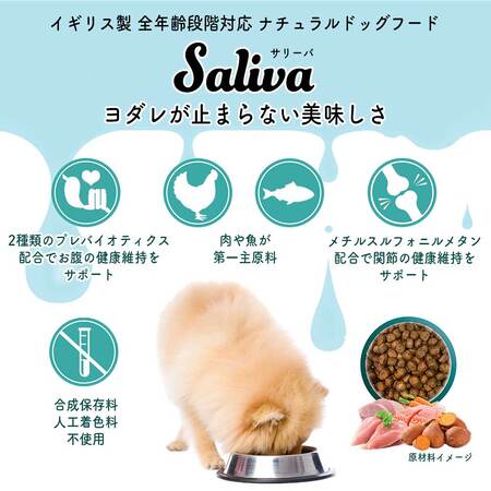 よだれが止まらない美味しさ 小型犬のためのドッグフード Saliva が発売中 Michill Bygmo ミチル