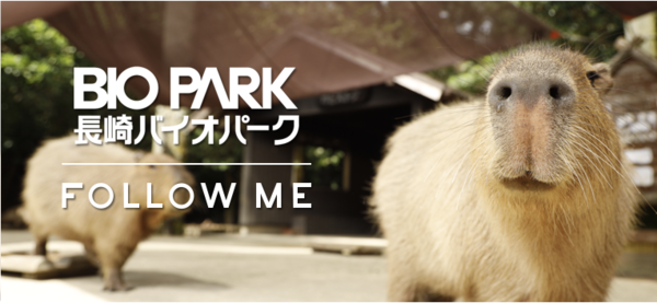 会員制SNS「FOLLOW ME」に「長崎バイオパーク」のアカウントが開設！