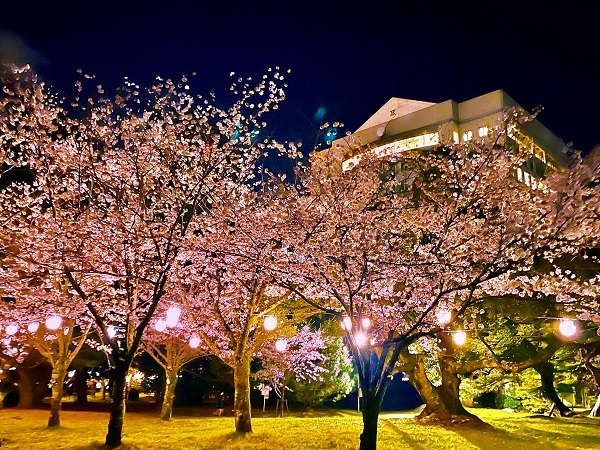 【愛知県豊橋市】桜と吉田城を楽しむ「春まつり」開催。ライトアップや謎解き、イースターなど企画満載
