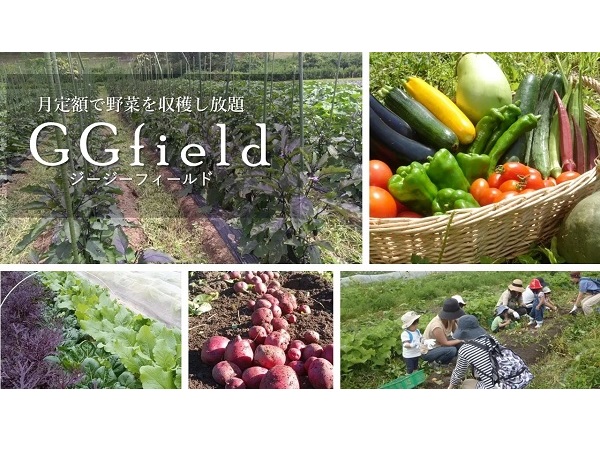 【愛知県岡崎市】八百屋で野菜を選ぶように食べたいものを収穫できるサブスク「GGfield」