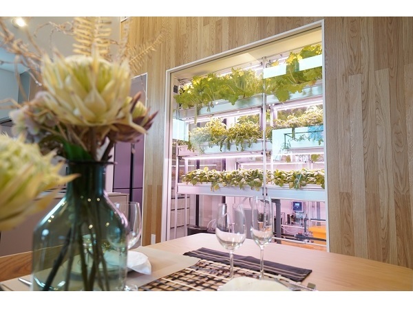 【東京都板橋区】「家産家消」がテーマ！木下工務店が自宅内に農園があるモデルハウスをオープン
