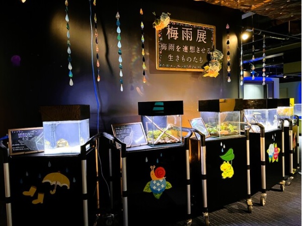【香川県宇多津町】四国水族館が移動式水槽で「梅雨展～梅雨を連想させる生きものたち～」の展示を開始