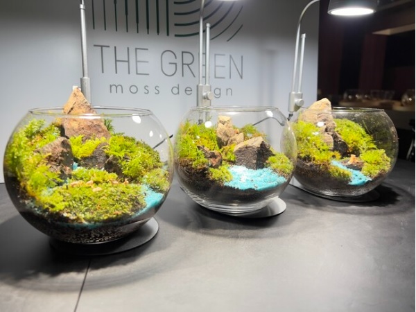 【愛知県名古屋市】テラリウム専門店「THE GREEN moss design」が名古屋にオープン