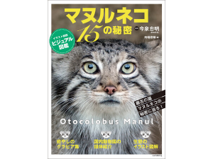 世界最古の猫・マヌルネコ初のビジュアル図鑑『マヌルネコ 15の秘密