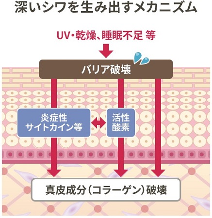 シワ改善」有効成分を配合した「ライスフォース リンクルボールセラム