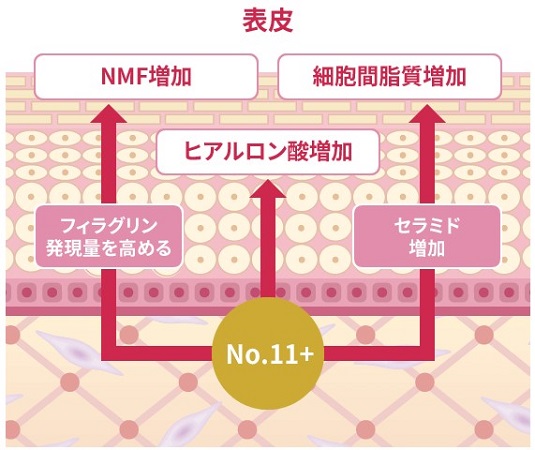 シワ改善」有効成分を配合した「ライスフォース リンクルボールセラム