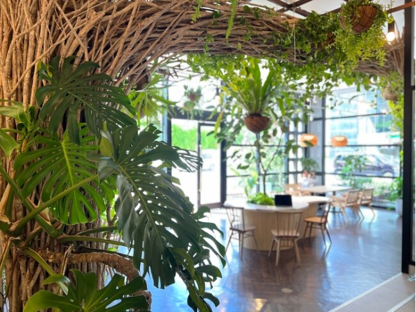 【沖縄県那覇市】園芸YouTuberが、シングルマザーの支援を行う緑あふれるカフェをオープン