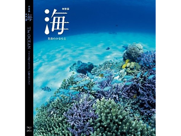 国立科学博物館の特別展「海 ―生命のみなもと―」をより楽むコンテンツ