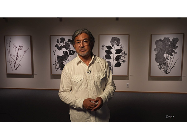 牧野富太郎博士の植物標本が持つ魅力を伝える写真家・菅原一剛氏がNHKの番組に出演