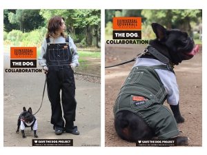 専用●犬服●ハンドメイド 胴58 NO.551 フレブル L 専用○犬服○ハンドメイド 胴58 NO.551 フレブル L no.627 ハンドメイド 犬