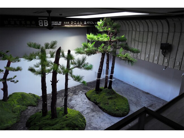 【東京都荒川区】長野県の森が東京に登場。森林インスタレーション「森の体験展示」、元映画館にて開催