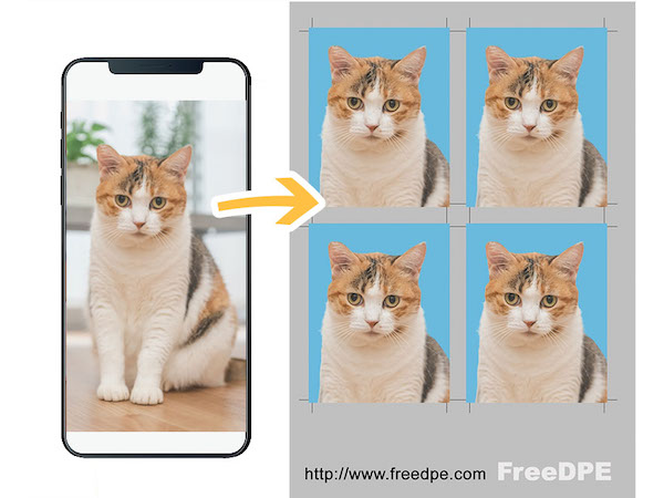 スマホから、本格的な証明写真を作れる「FreeDPE」が有料機能を新料金に改定