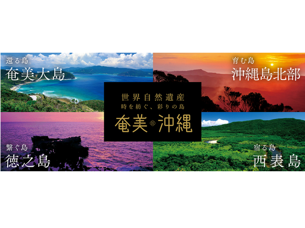 『世界⾃然遺産「奄美・沖縄」』WEBサイトが奄美⼤島の魅⼒を伝えるコンテンツを公開
