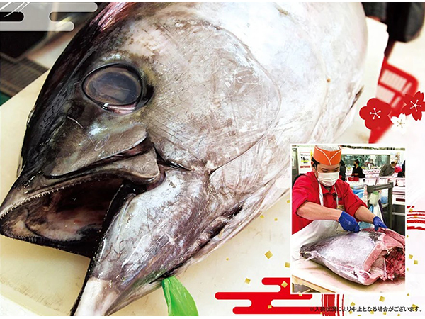角上魚類、新年初荷の国産「京都 伊根まぐろ」解体実演販売を全店で開催