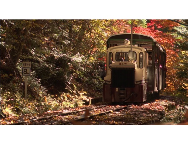 【長野県木曽郡】森林鉄道に関するギャラリー＆シンポジウムイベント「木曽森林鉄道フォーラム」