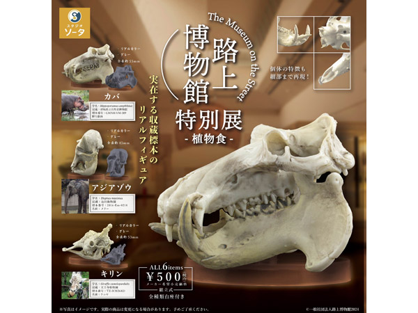 頭骨標本を3Dスキャンし精巧に再現！カプセルトイ「路上博物館 特別展-植物食-」発売