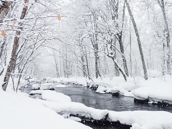 【青森県十和田市】冬の奥入瀬渓流をグリスロで楽しむツアー＆スノーシューで森を散策するツアー実施