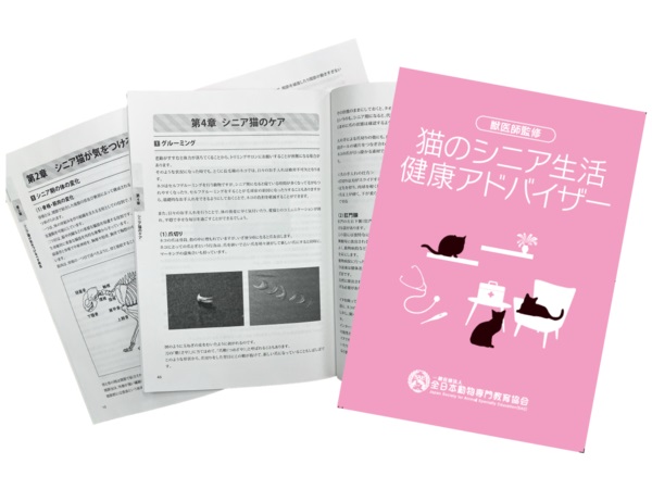 猫に関する資格が取得できる「ねこプロ専攻」がさらに飛躍！「アドバンスコース」開講