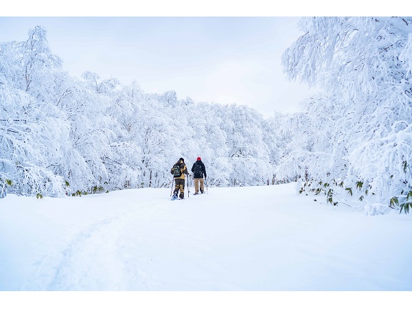 【北海道登別市】オロフレ峠の樹氷や登別の絶景を大パノラマで楽しめるスノーシューツアー開催中！