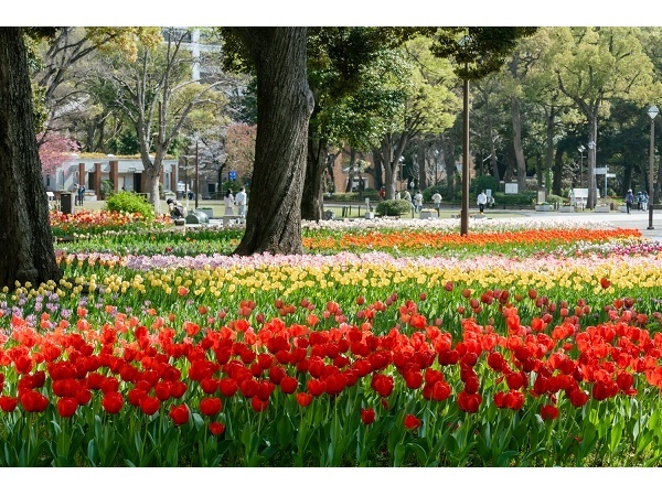 【神奈川県横浜市】「よこはま花と緑のスプリングフェア」開催＆花や緑のスポットを紹介する冊子を配布
