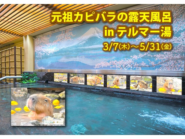 伊豆・静岡の魅力いろいろ！新宿天然温泉テルマー湯で「春の伊豆・静岡フェア」開催