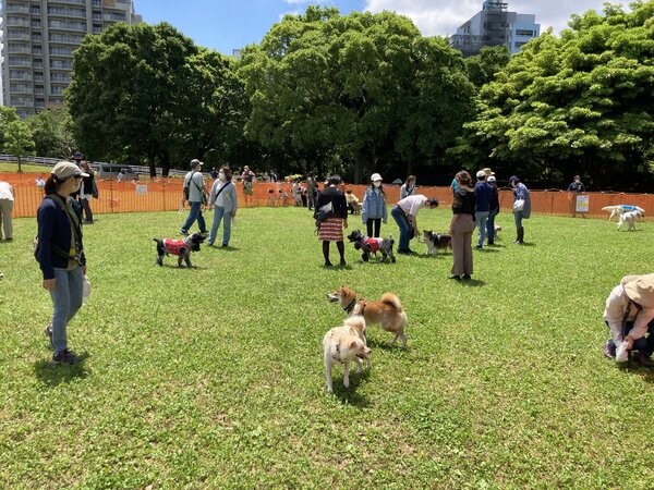 【千葉県千葉市】愛犬と楽しめる2日間限定イベント「ドッグラン in 幕張海浜公園 2024春」開催！