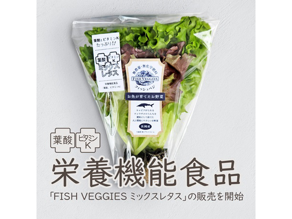アクアポニックスで栽培した栄養機能食品「FISH VEGGIES ミックスレタス」発売！