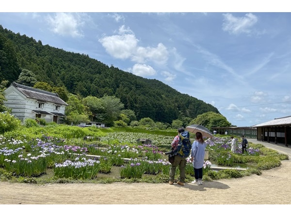 【静岡県掛川市】花×鳥×古里を一度に！加茂荘花鳥園の「オリジナル花菖蒲・アジサイ展」4月26日～