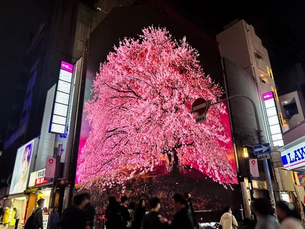 【大阪府大阪市】宗右衛門町にあるサイネージのフルラッピングビルで、桜のPR映像を放映中！