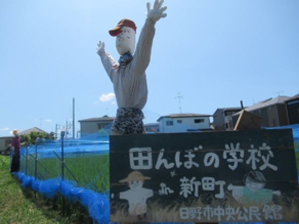 【東京都日野市】「蚕でつなぐプロジェクト」＆親子でお米を作る「田んぼの学校」に注目！