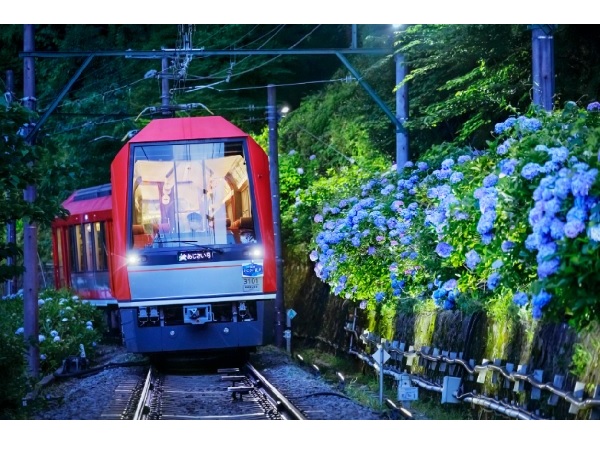 【神奈川県】箱根の風物詩「夜のあじさい号」6/15から運行スタート。記念撮影の時間やお土産も