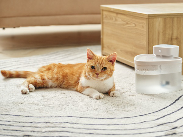 猫の健康を考慮した「Pet用適温自動給水機」発売。水の浄化と水温調整が可能