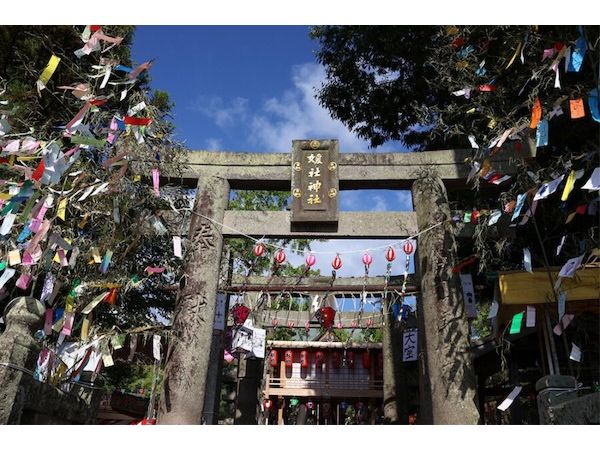 【福岡県小郡市】全国から色とりどりの短冊が集まる伝統行事「七夕神社の夏まつり」。露店やステージも