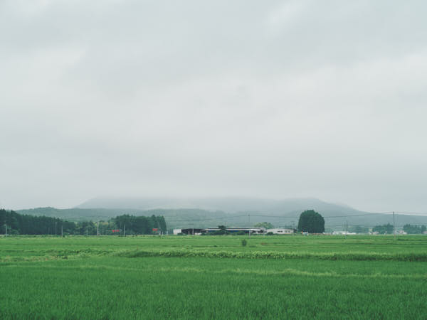 【宮城県旧小野田町(加美町)】薬莱山の近くに広がる暮らしへ