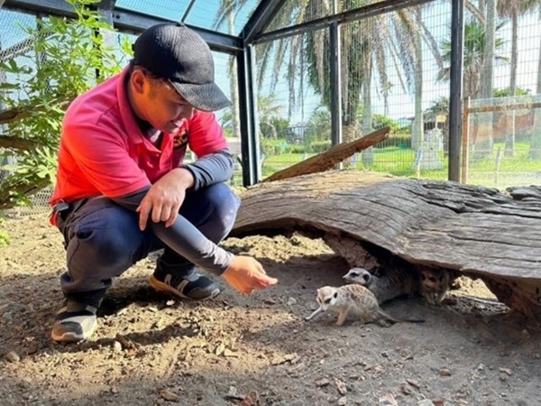 水族館や動物園の動物たちの食費・医療費などをサポートできる制度「OHANA SHIP」