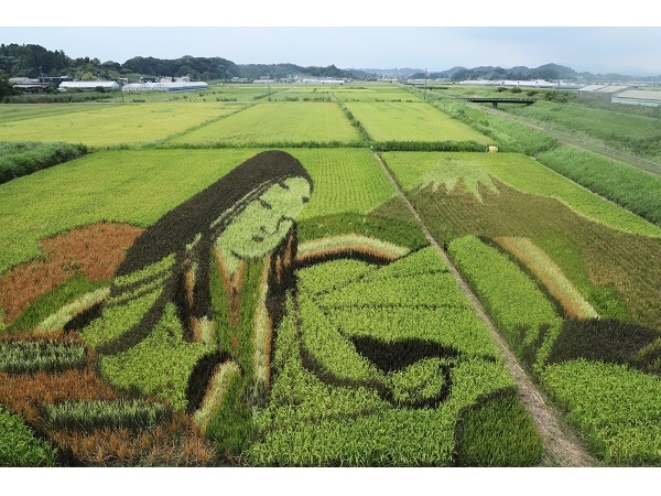 【静岡県菊川市】最優秀賞は賞金10万円！市制20周年を記念する動画コンテストを開催中