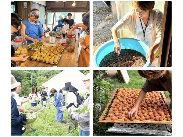 【千葉県南房総市】里山の生活を体験できるプログラム「シェア里山まるごと体験」コースの参加者募集中！