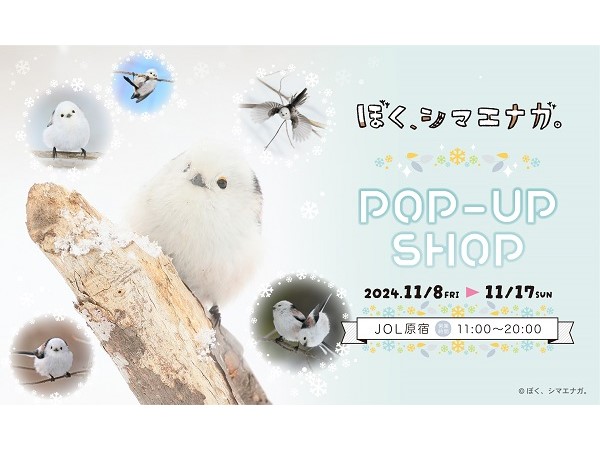 【東京都渋谷区】シマエナガのかわいい姿が存分に楽しめる「ぼく、シマエナガ。POP-UP SHOP」開催！