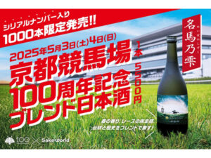 【非売品】京都競馬場　淀競馬場　記念　80年史　日本中央競馬会　冊子 京都競馬場開設80周年 ディープインパクト ノベルティ&チケット｜Yahoo
