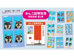 神奈川県横浜市】台紙の種類は70種類以上に増加！「わんこ専用証明写真
