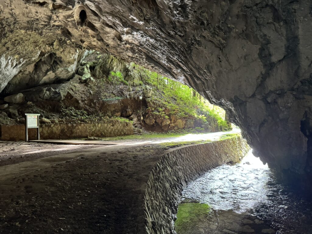 『景清洞』内部から見た外の風景の写真。