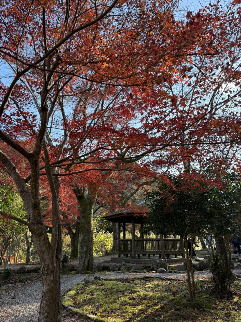 大寧寺の境内と紅葉の写真。