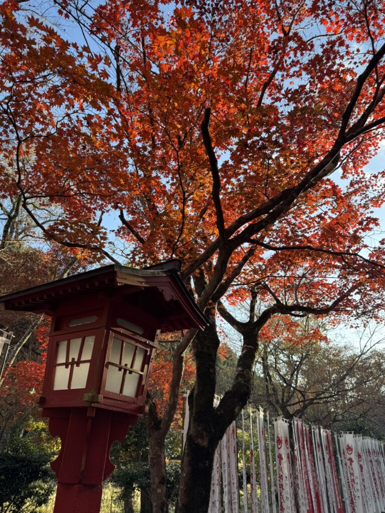 大寧寺の境内と紅葉の写真➁。