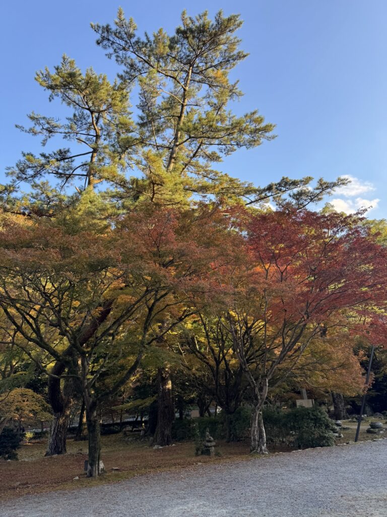大寧寺の境内と紅葉の写真③。