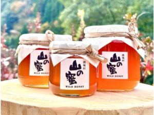 宮崎県諸塚村】2025年秋に採集したニホンミツバチの百花蜜『山の蜜