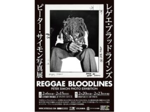 アート・デザイン・音楽 REGGAE BLOODLINES REGGAE BLOODLINES/V.A.｜REGGAE｜ディスクユニオン・オンライン