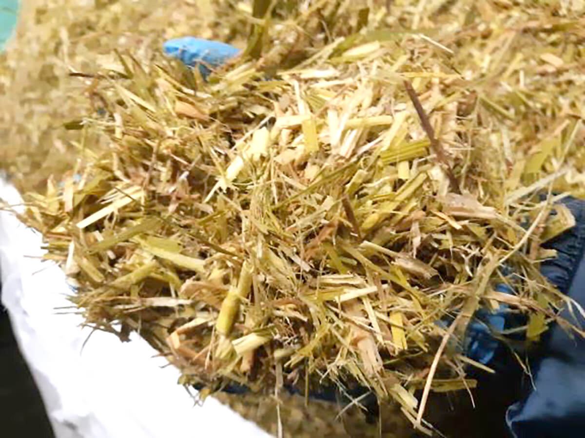 ヴェッキオトラム　平田ロッソ牛